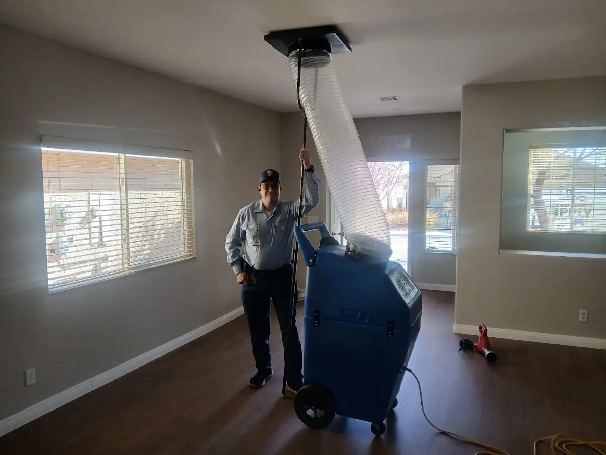 Professional Dryer Vent Cleaning work inside a Maple Shade home